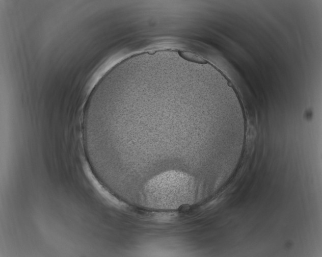 X0000116511055201001061219