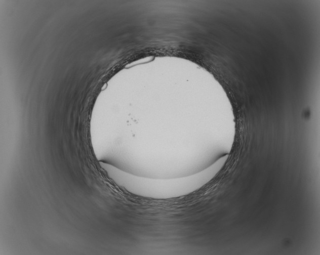 X0000116511057201001061218