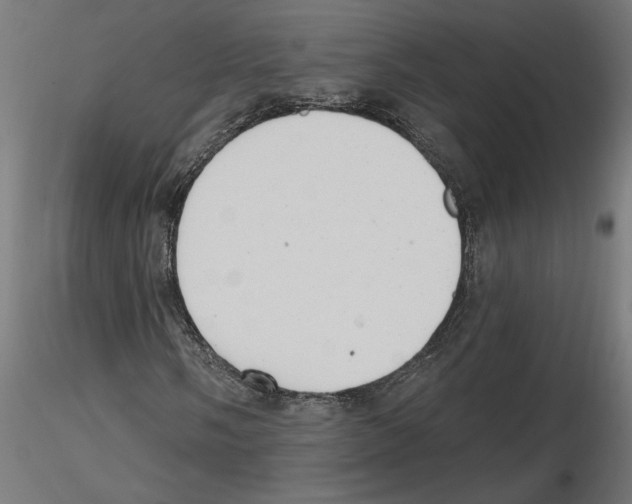 X0000116511058201001061218
