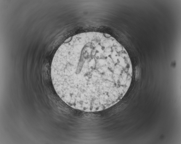 X0000116511059201001061218