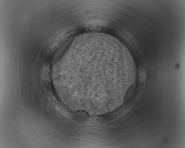 X0000116511060201001061218
