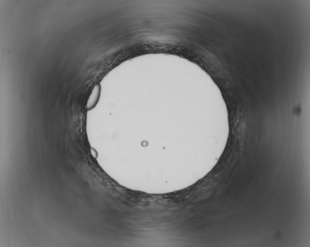 X0000116511061201001061218