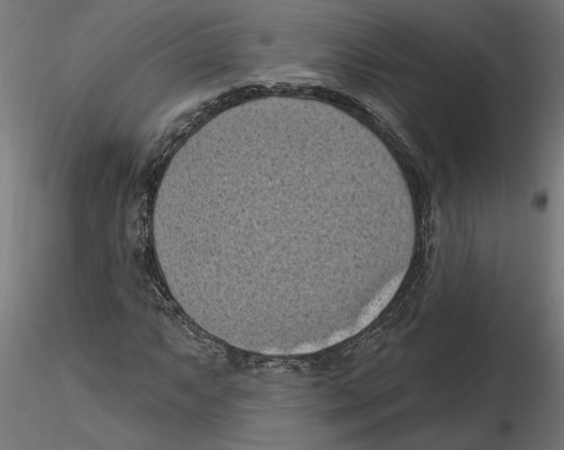 X0000116511063201001061218