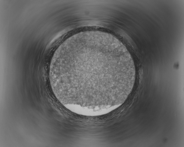X0000116511064201001061218
