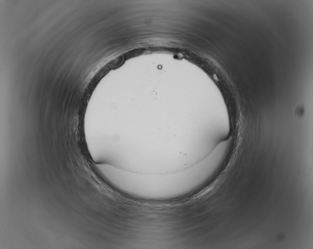 X0000116511065201001061218