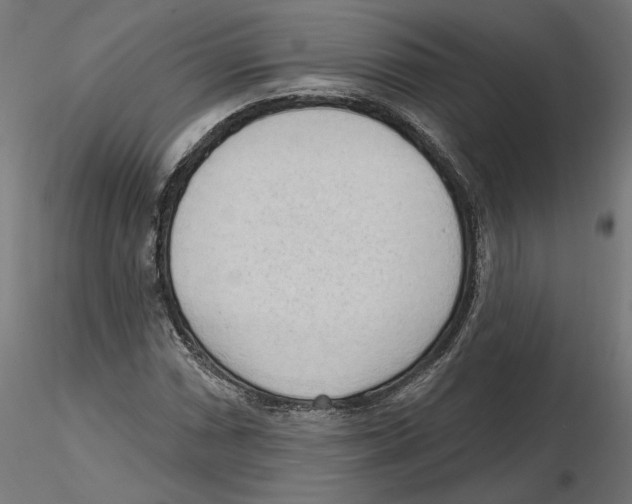 X0000116511066201001061218