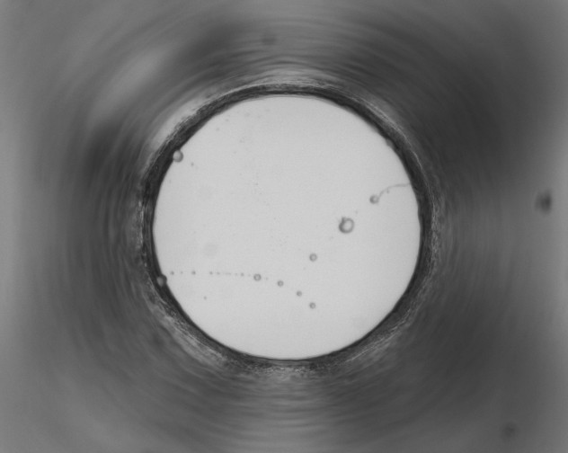 X0000116511067201001061218