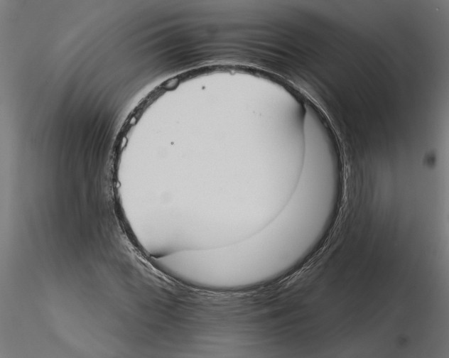 X0000116511068201001061218