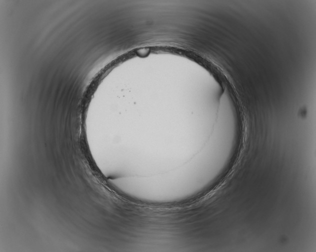 X0000116511069201001061218