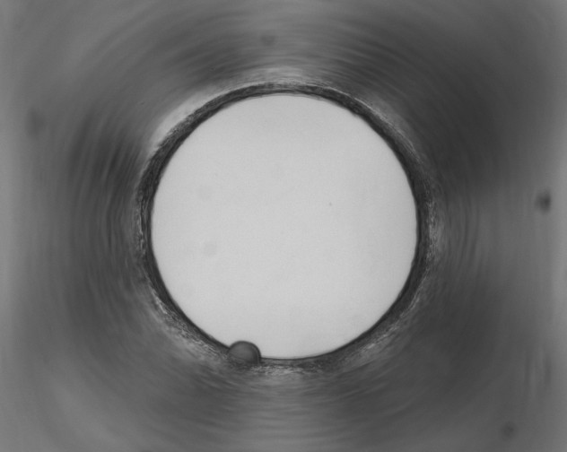 X0000116511070201001061218