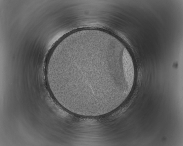 X0000116511071201001061218