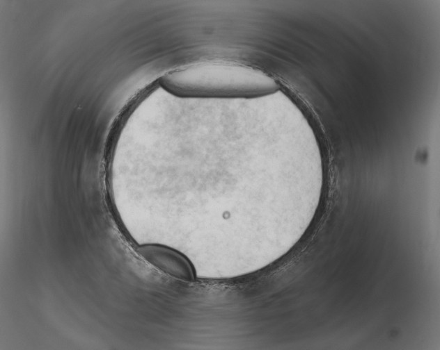 X0000116511072201001061218