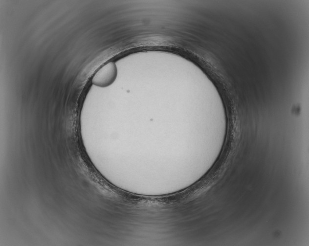 X0000116511073201001061218