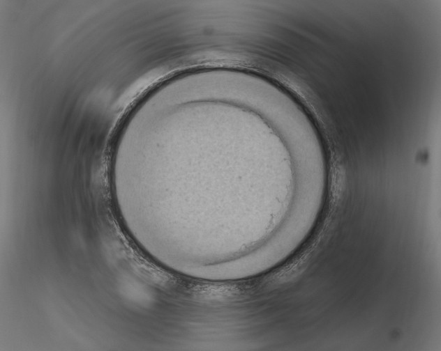 X0000116511074201001061218