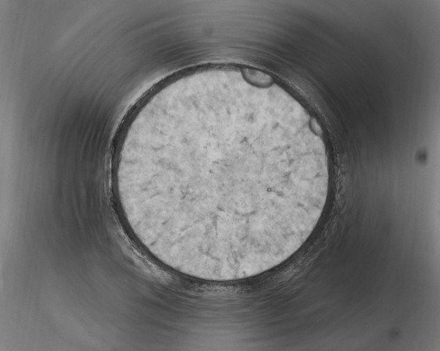 X0000116511076201001061218