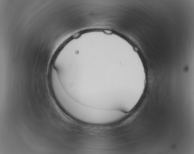 X0000116511077201001061218