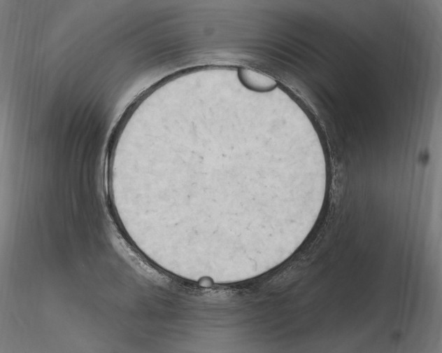 X0000116511080201001061218