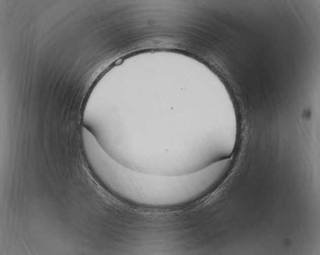 X0000116511081201001061218