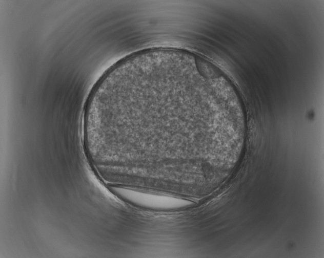 X0000116511084201001061218