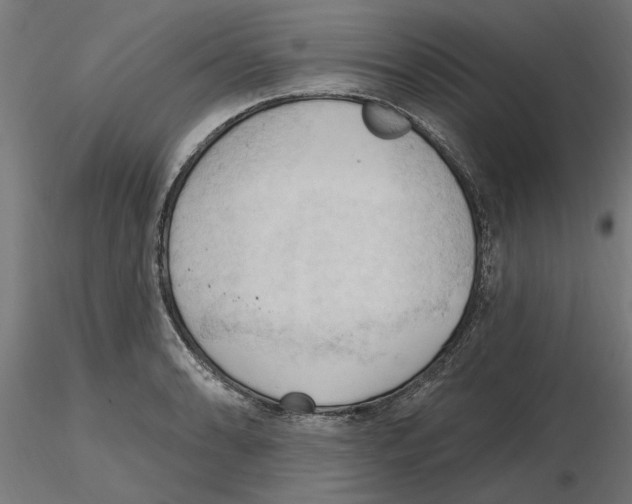 X0000116511086201001061218