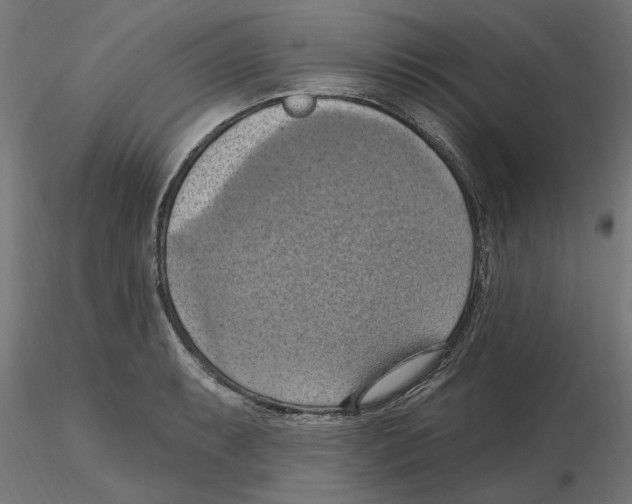 X0000116511087201001061218
