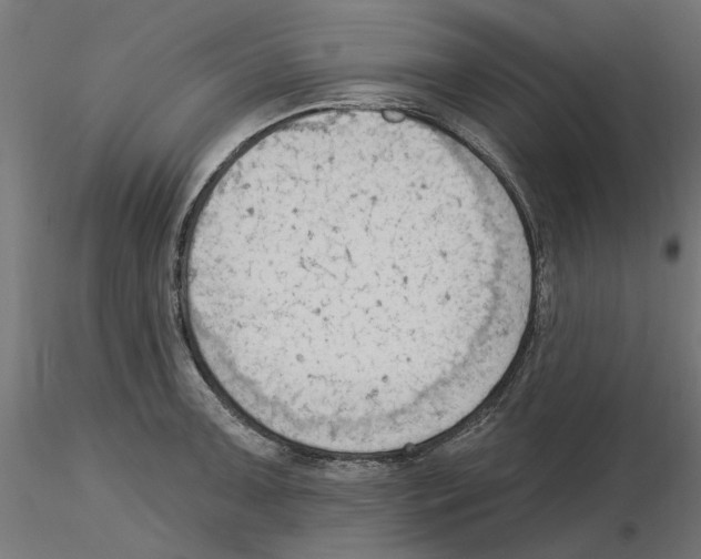 X0000116511091201001061218