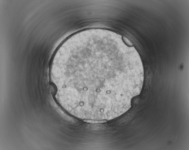 X0000116511092201001061218