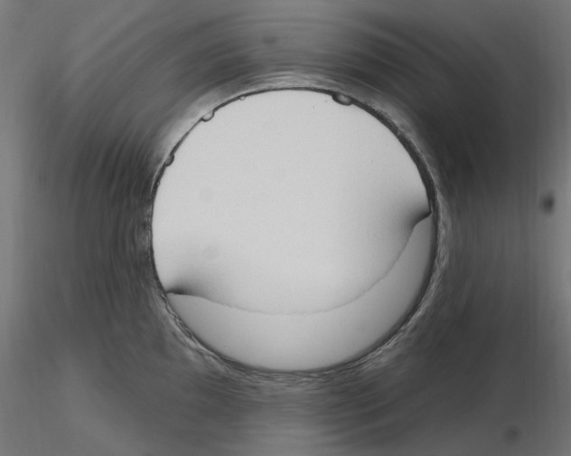 X0000116511097201001061218