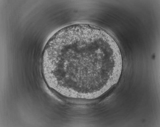 X0000116511100201001061218
