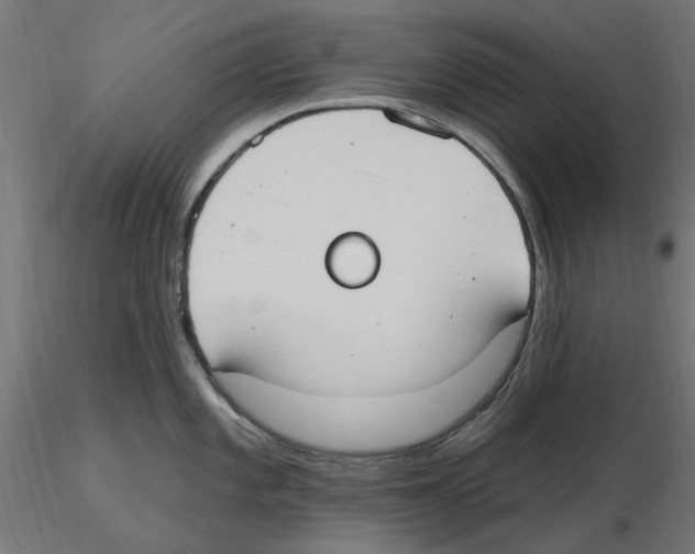 X0000116511101201001061218
