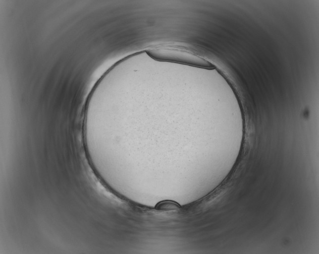 X0000116511102201001061218