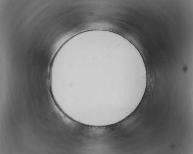 X0000116511103201001061218