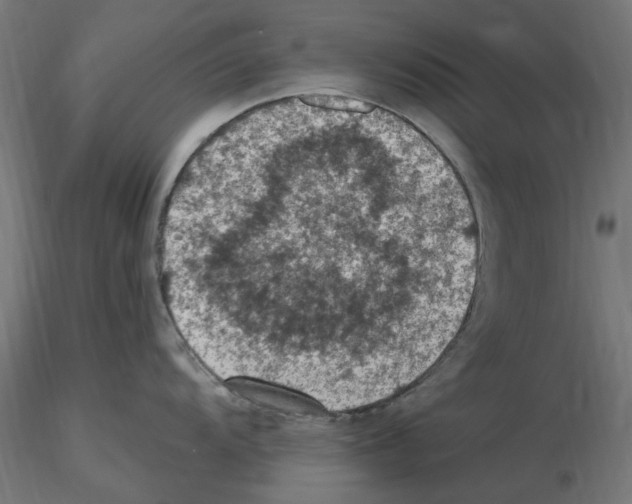 X0000116511104201001061218