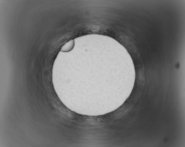 X0000116511105201001061217