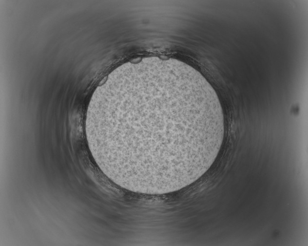 X0000116511106201001061217