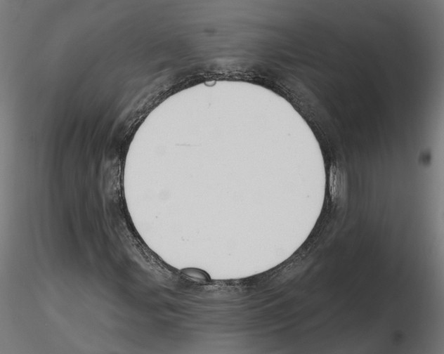 X0000116511107201001061217