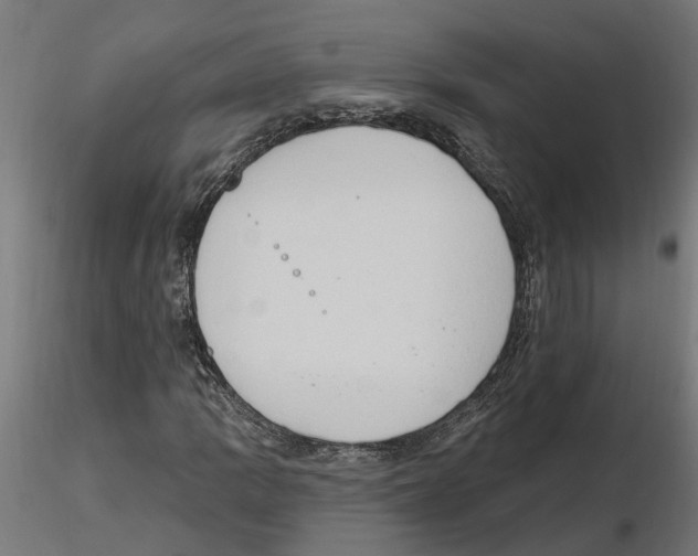 X0000116511109201001061217