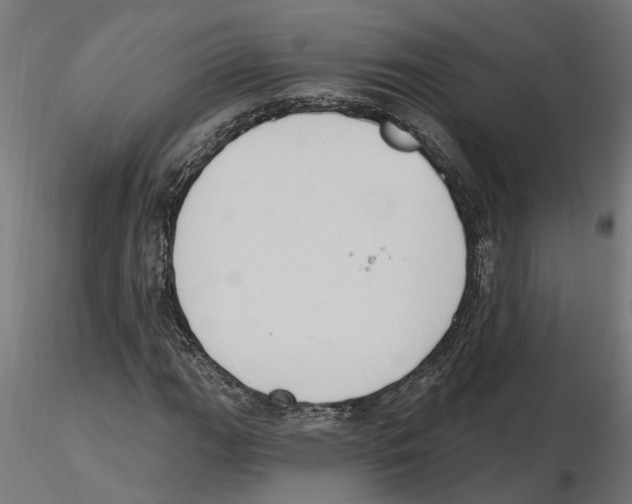 X0000116511111201001061217