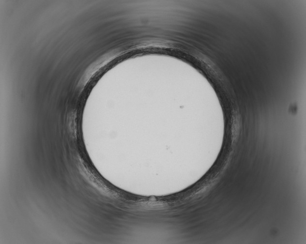 X0000116511113201001061217