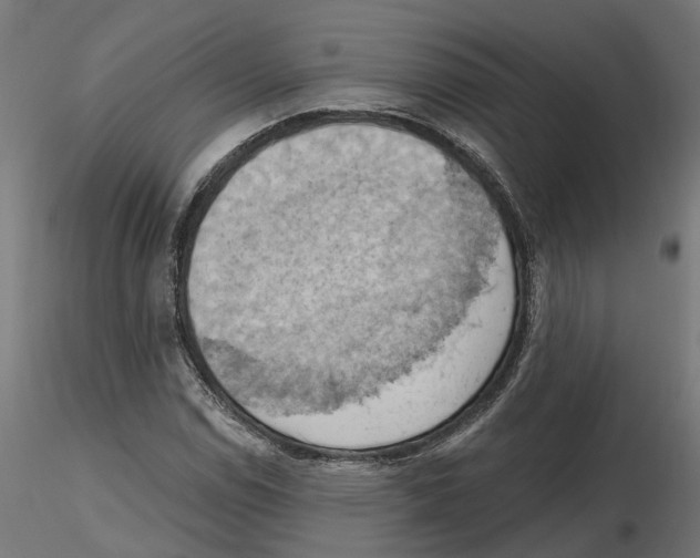 X0000116511114201001061217