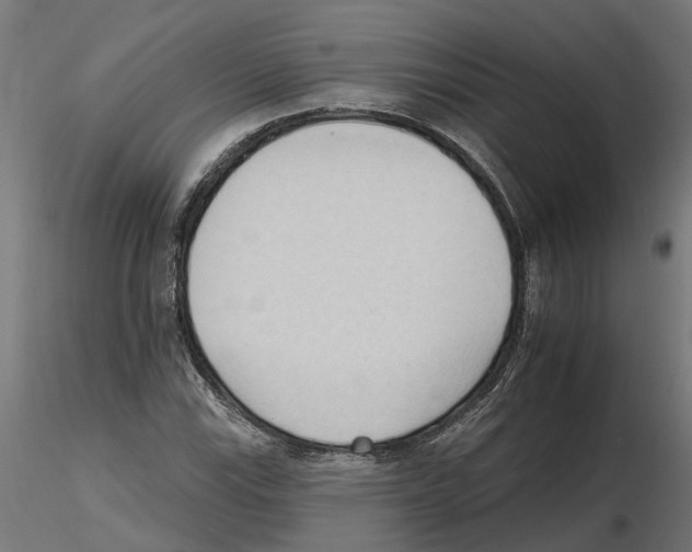 X0000116511115201001061217