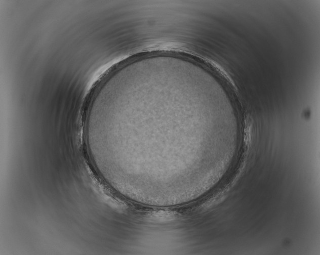 X0000116511117201001061217