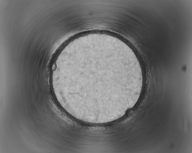 X0000116511118201001061217