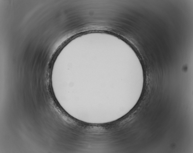 X0000116511119201001061217