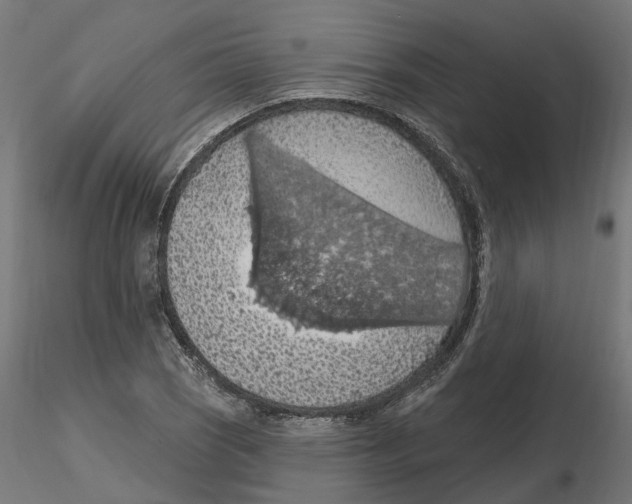 X0000116511121201001061217