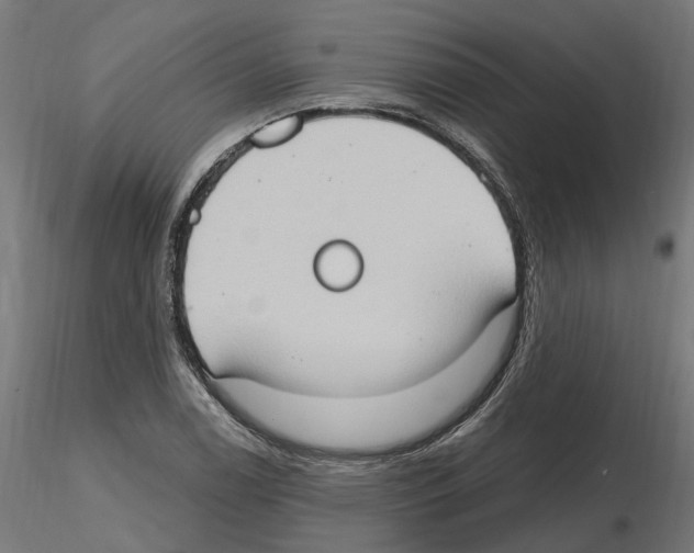 X0000116511122201001061217