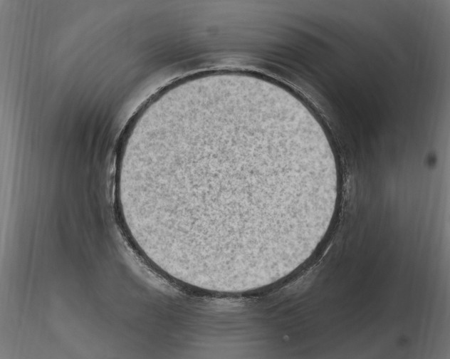 X0000116511126201001061217