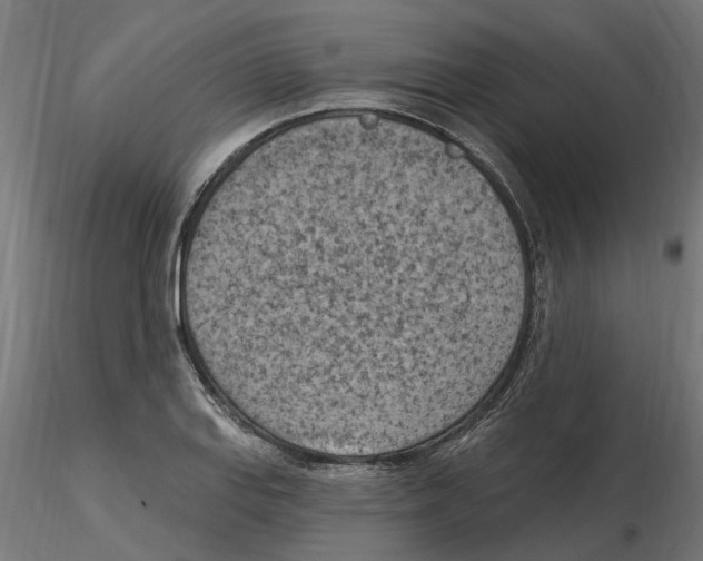 X0000116511127201001061217