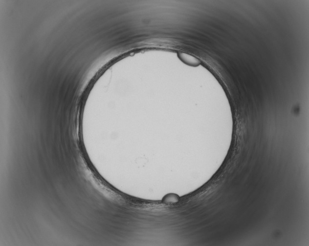 X0000116511131201001061217