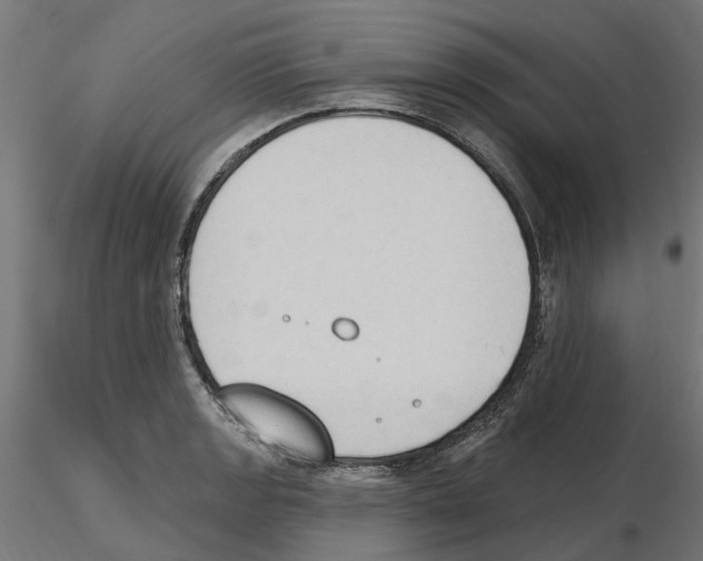 X0000116511133201001061217